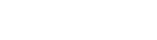 WiseJets Travel Wisely logo
